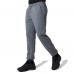 Оригинальные Штаны Everlast Classic Joggers - Grey