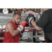 Оригинальные Лапы TITLE Boxing Aerovent Excel Incredi Mitts 2.0 - Black/White